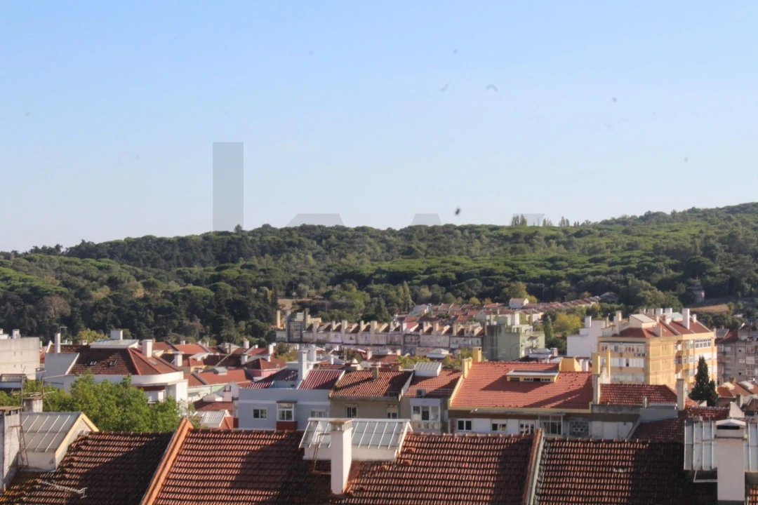 Moradia T1 para Venda em São Domingos de Benfica Foto 2