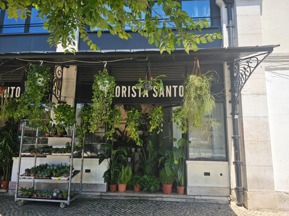 Negócio para Trespasse em Misericórdia Foto 16