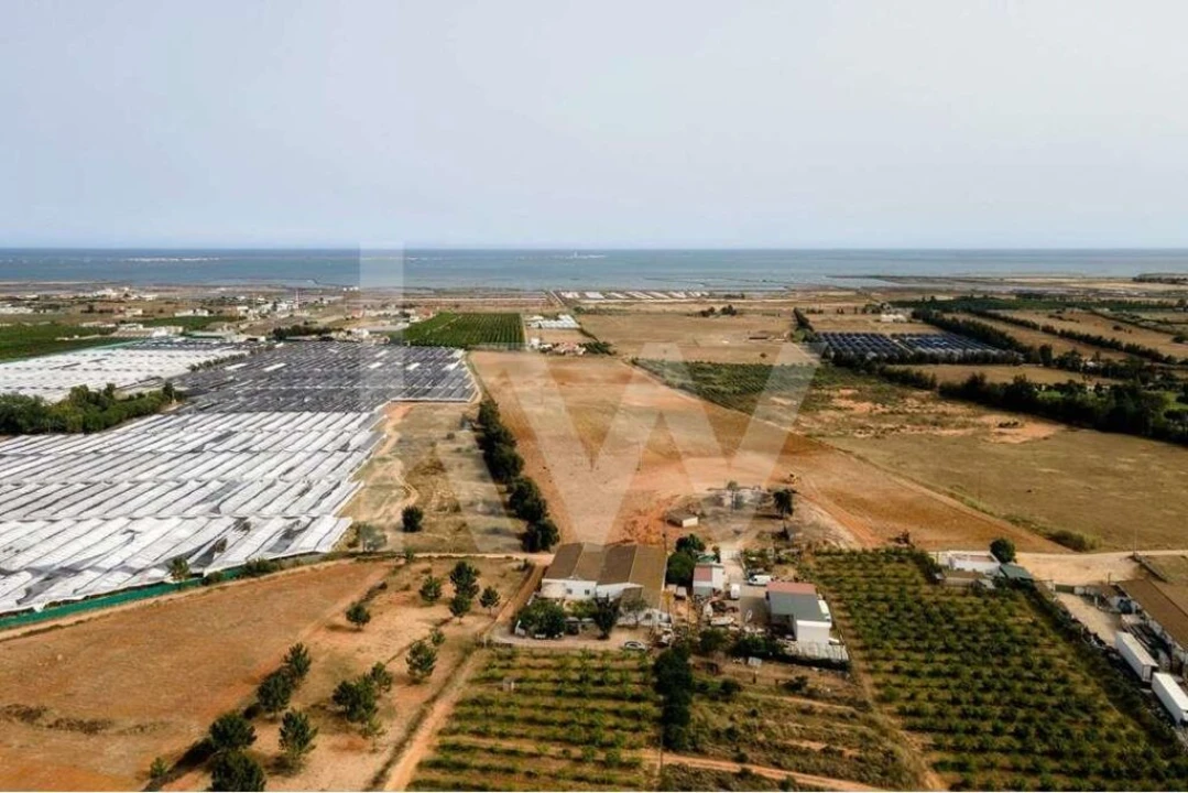 Terreno para Venda em Pechão Foto 5