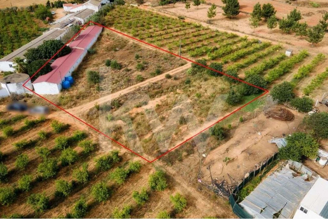 Terreno para Venda em Pechão Foto 1