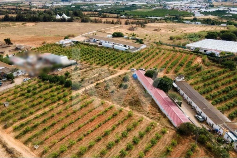 Terreno para Venda em Pechão Foto 20