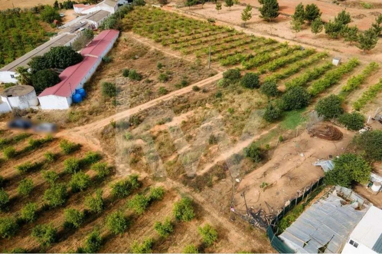 Terreno para Venda em Pechão Foto 13