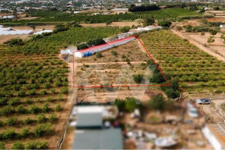 Terreno para Venda em Pechão Foto 11