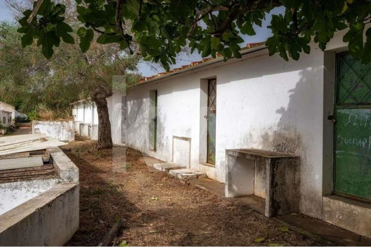 Terreno para Venda em Pechão Foto 21