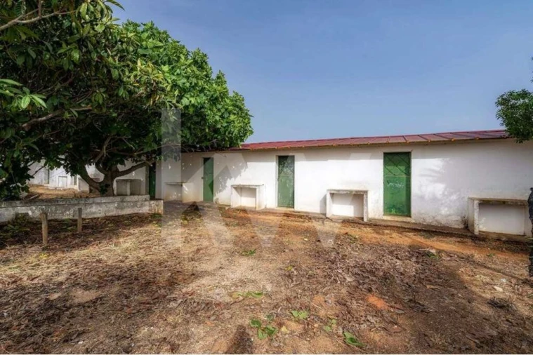 Terreno para Venda em Pechão Foto 2