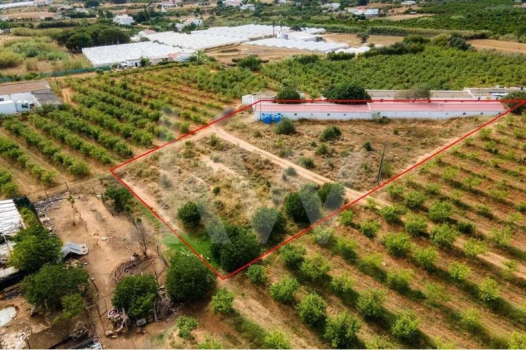 Terreno para Venda em Pechão Foto 19
