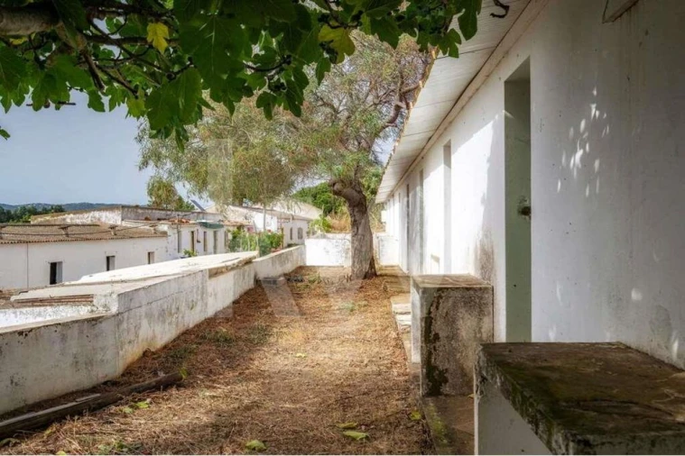 Terreno para Venda em Pechão Foto 14