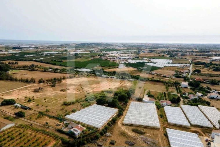Terreno para Venda em Pechão Foto 7