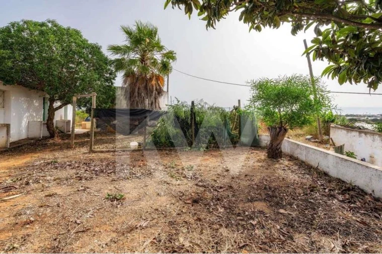 Terreno para Venda em Pechão Foto 4