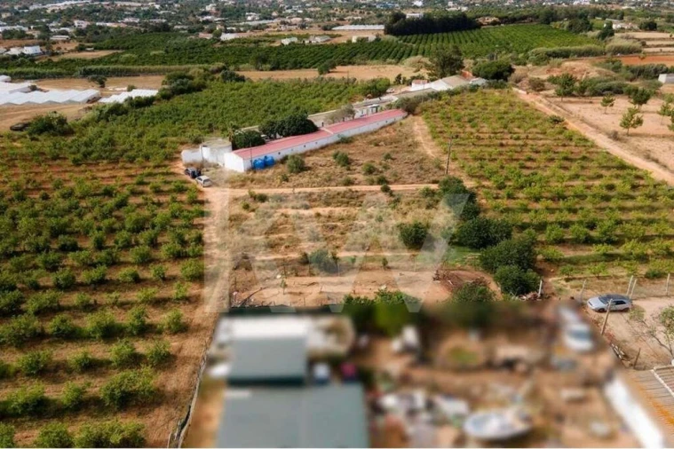 Terreno para Venda em Pechão Foto 10