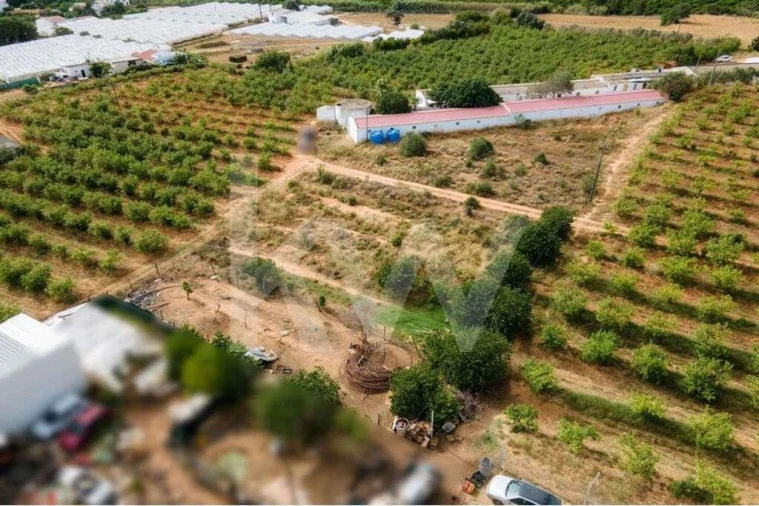 Terreno para Venda em Pechão Foto 16