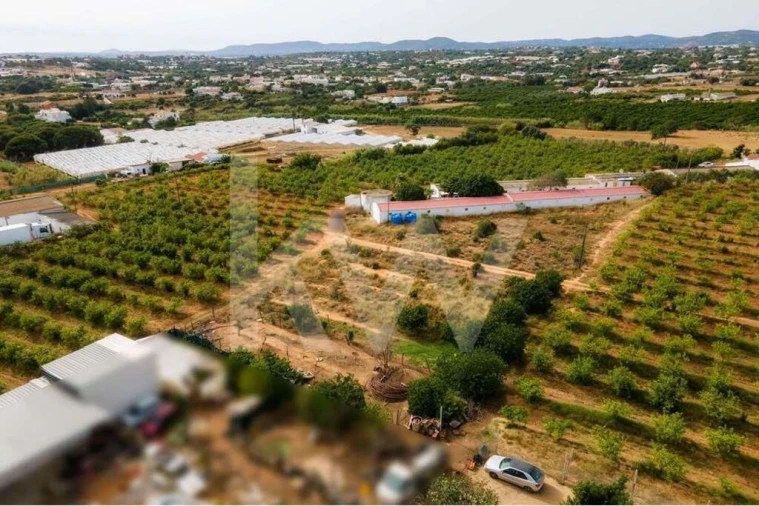 Terreno para Venda em Pechão Foto 17