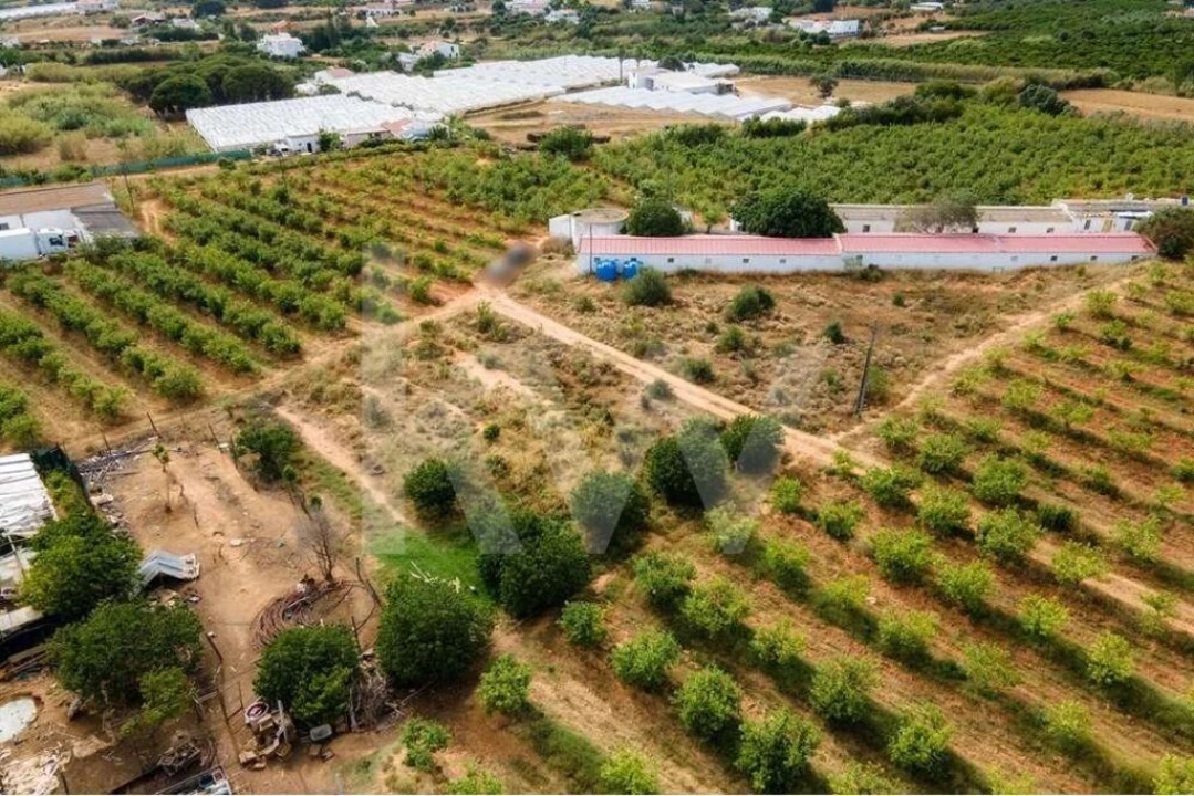 Terreno para Venda em Pechão Foto 18