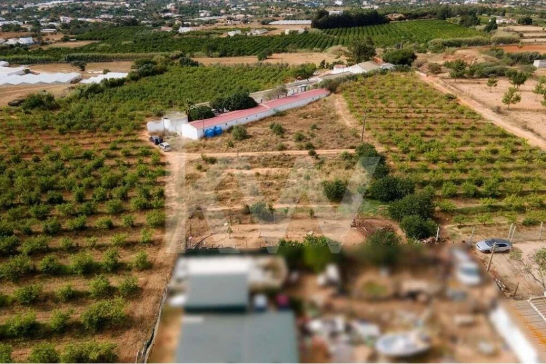 Terreno para Venda em Pechão Foto 10