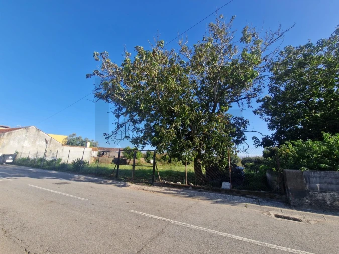 Terreno para Venda em Albergaria-A-Velha e Valmaior Foto 3