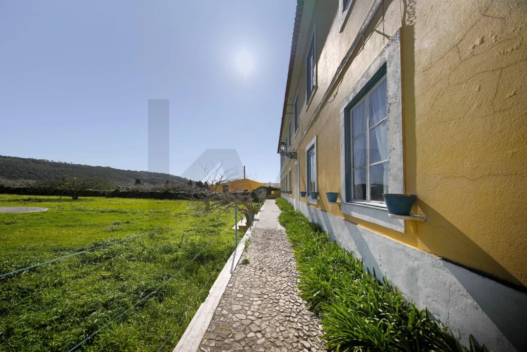 Quinta T25 para Venda em Valado dos Frades Foto 23