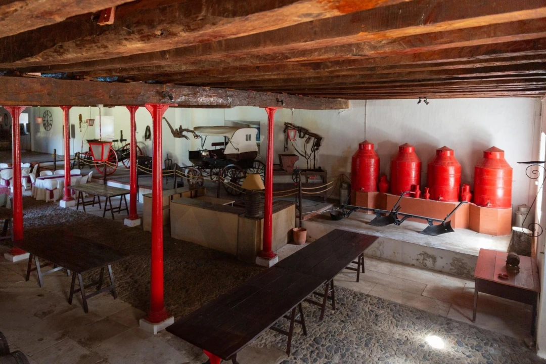 Quinta T25 para Venda em Valado dos Frades Foto 28