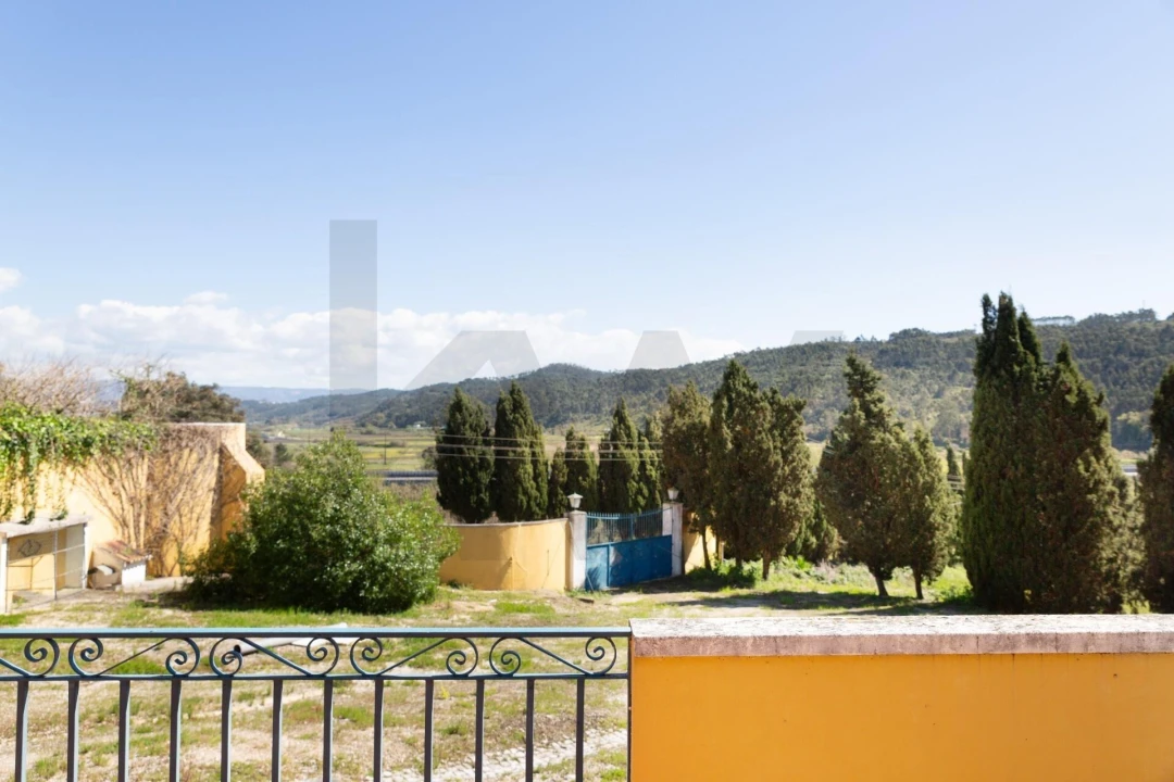 Quinta T25 para Venda em Valado dos Frades Foto 43