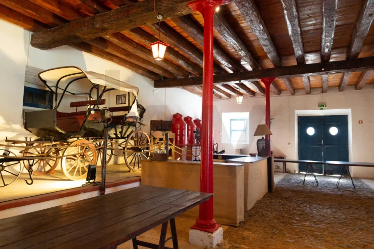 Quinta T25 para Venda em Valado dos Frades Foto 29