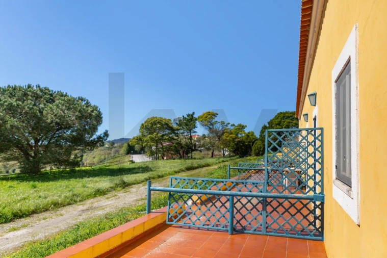 Quinta T25 para Venda em Valado dos Frades Foto 42