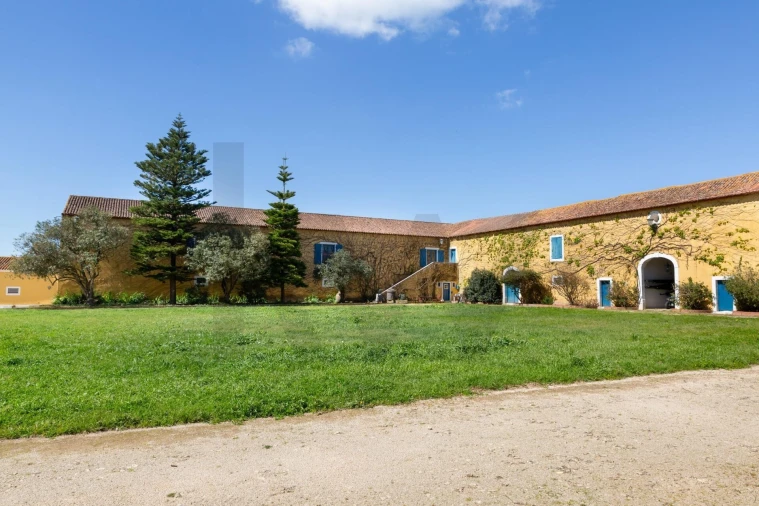 Quinta T25 para Venda em Valado dos Frades Foto 34