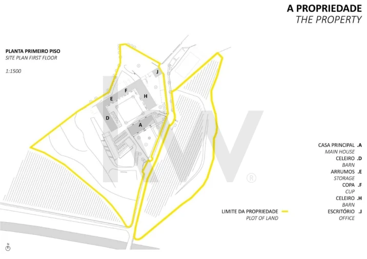 Quinta T25 para Venda em Valado dos Frades Foto 49