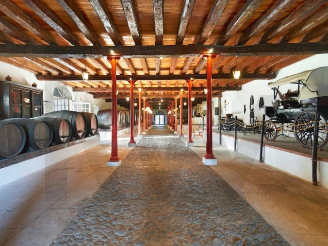 Quinta T25 para Venda em Valado dos Frades Foto 31