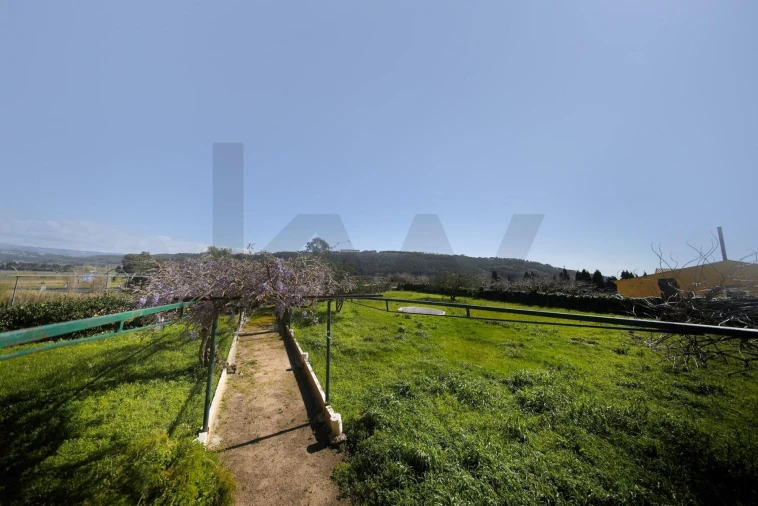 Quinta T25 para Venda em Valado dos Frades Foto 24