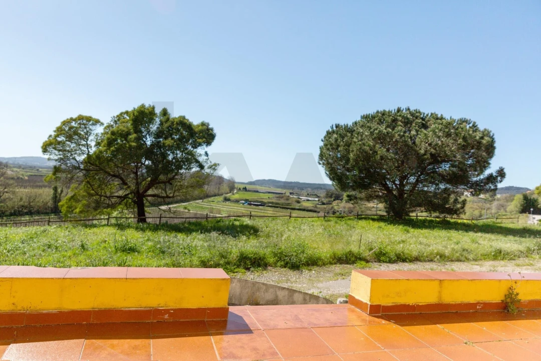 Quinta T25 para Venda em Valado dos Frades Foto 44