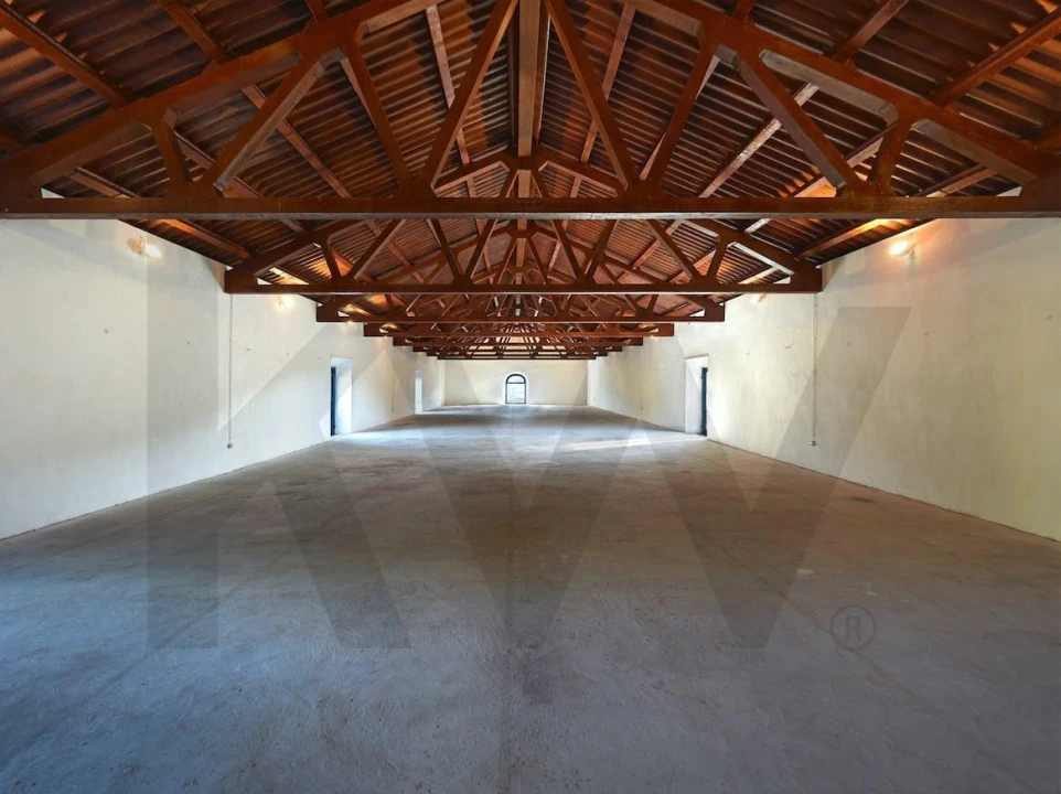 Quinta T25 para Venda em Valado dos Frades Foto 32