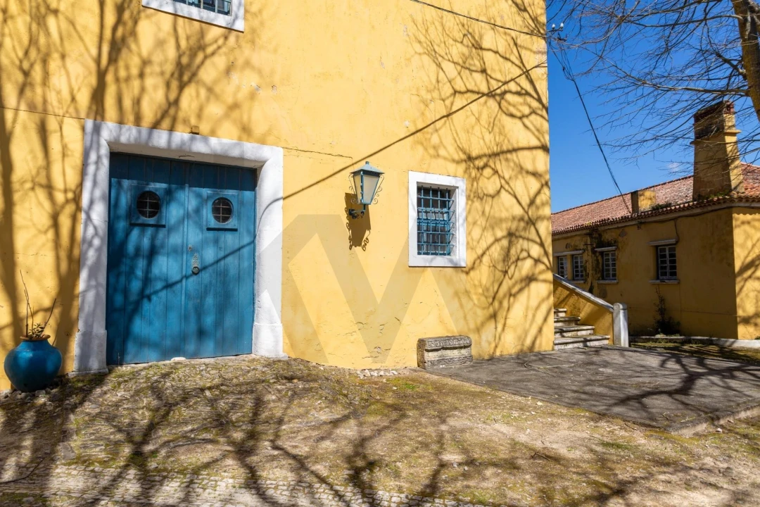 Quinta T25 para Venda em Valado dos Frades Foto 46