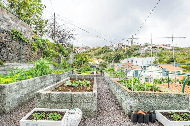 Moradia T3 para Venda em São Roque Foto 43