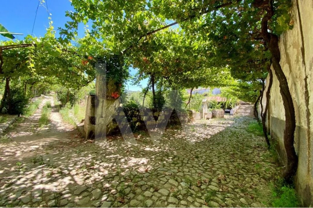 Quinta T6 para Venda em Salzedas Foto 19