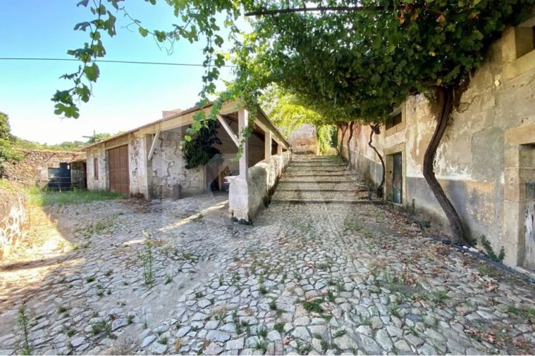 Quinta T6 para Venda em Salzedas Foto 17