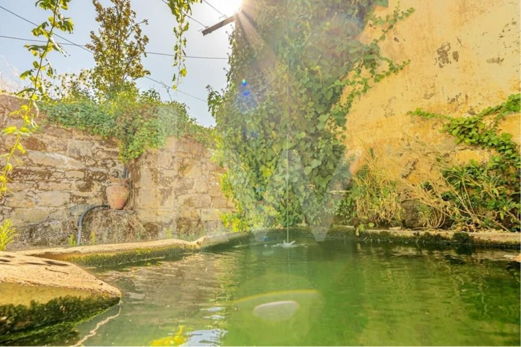 Quinta T6 para Venda em Salzedas Foto 21