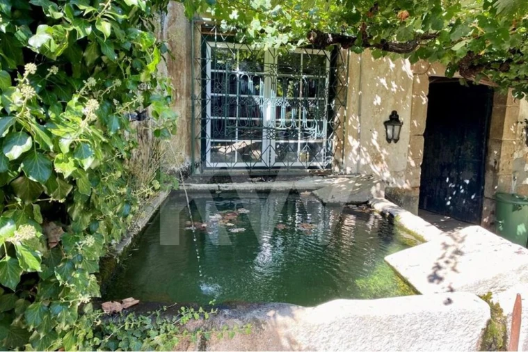 Quinta T6 para Venda em Salzedas Foto 22