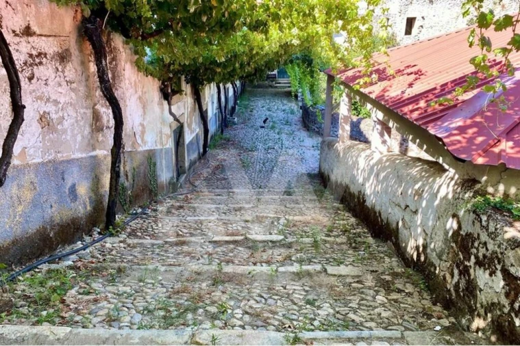 Quinta T6 para Venda em Salzedas Foto 14