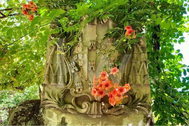 Quinta T6 para Venda em Salzedas Foto 23