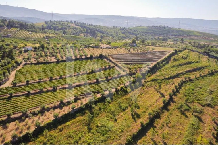 Quinta T6 para Venda em Salzedas Foto 20