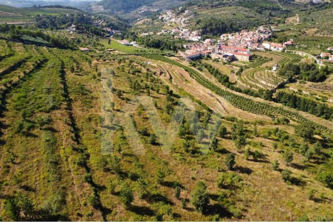 Quinta T6 para Venda em Salzedas Foto 3