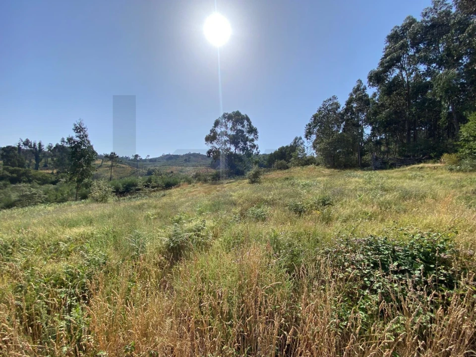 Quinta T4 para Venda em Caçarilhe e Infesta Foto 23