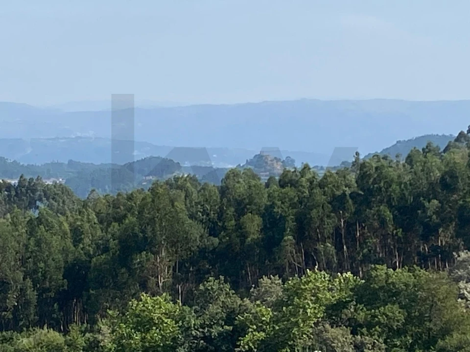 Quinta T4 para Venda em Caçarilhe e Infesta Foto 12
