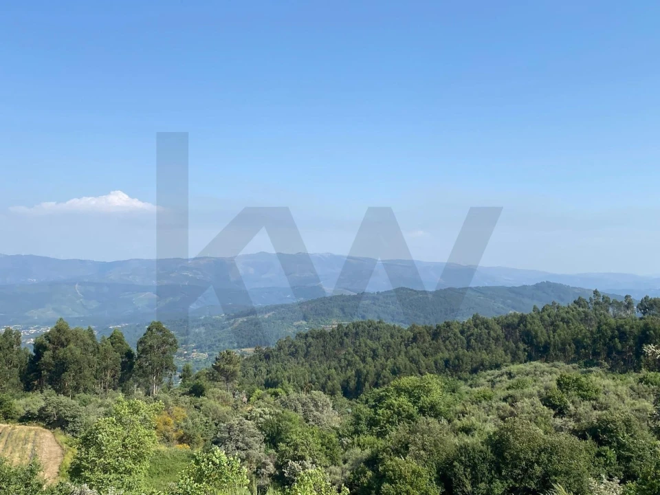 Quinta T4 para Venda em Caçarilhe e Infesta Foto 28