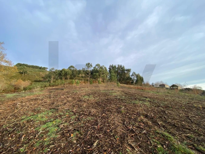 Quinta T4 para Venda em Caçarilhe e Infesta Foto 36