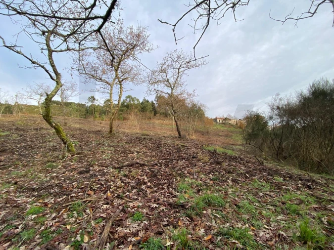 Quinta T4 para Venda em Caçarilhe e Infesta Foto 39
