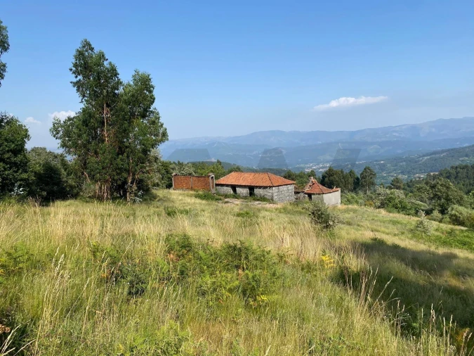 Quinta T4 para Venda em Caçarilhe e Infesta Foto 13