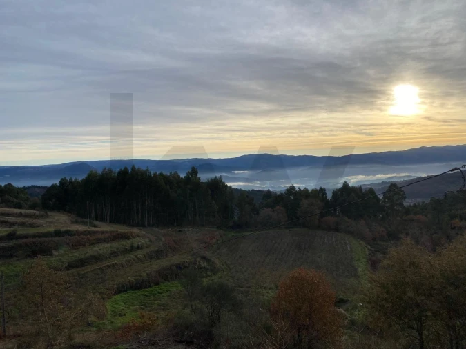 Quinta T4 para Venda em Caçarilhe e Infesta Foto 42