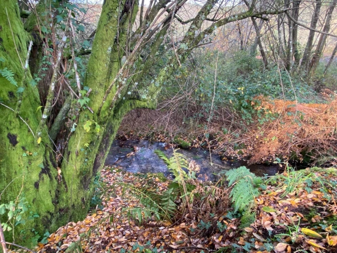 Quinta T4 para Venda em Caçarilhe e Infesta Foto 38