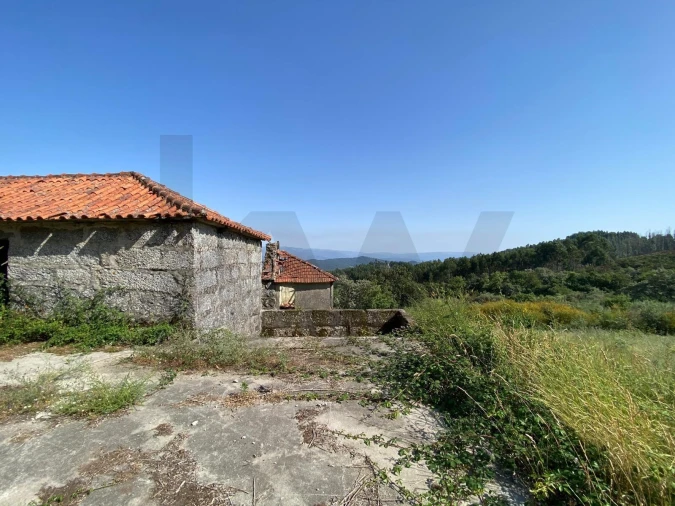 Quinta T4 para Venda em Caçarilhe e Infesta Foto 18