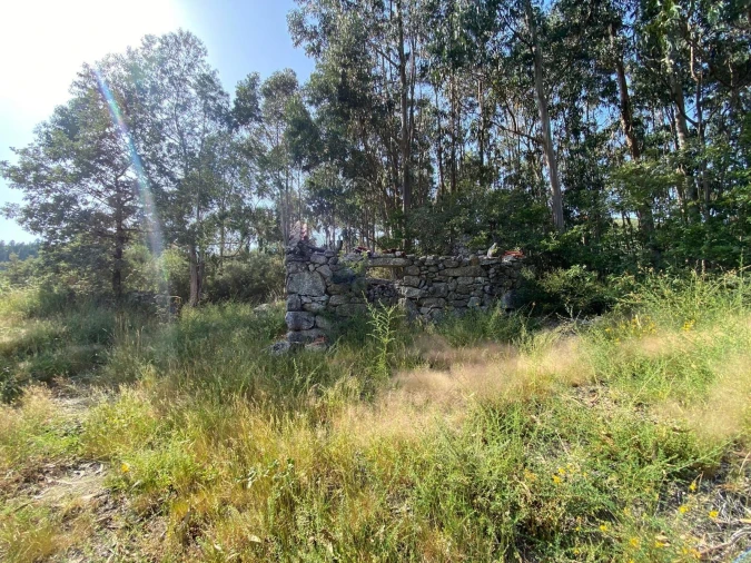 Quinta T4 para Venda em Caçarilhe e Infesta Foto 33